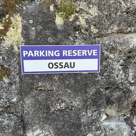 Superbe Duplex Au Coeur De La Vallee D'ossau Apartment *