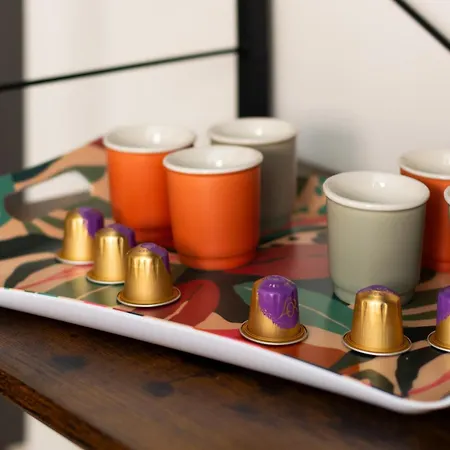 Superbe Duplex Au Coeur De La Vallee D'ossau Izest