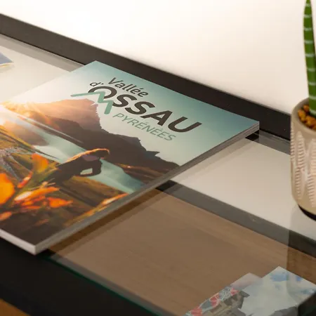 Superbe Duplex Au Coeur De La Vallee D'ossau Izest