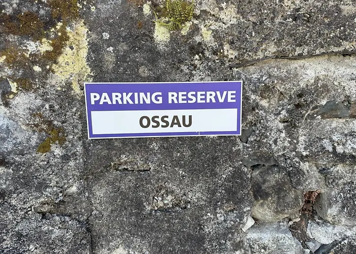 Superbe Duplex Au Coeur De La Vallee D'ossau Daire *