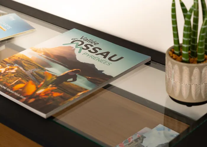 Superbe Duplex Au Coeur De La Vallee D'ossau Izest